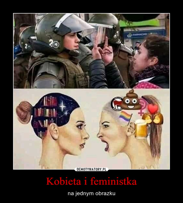 Kobieta i feministka