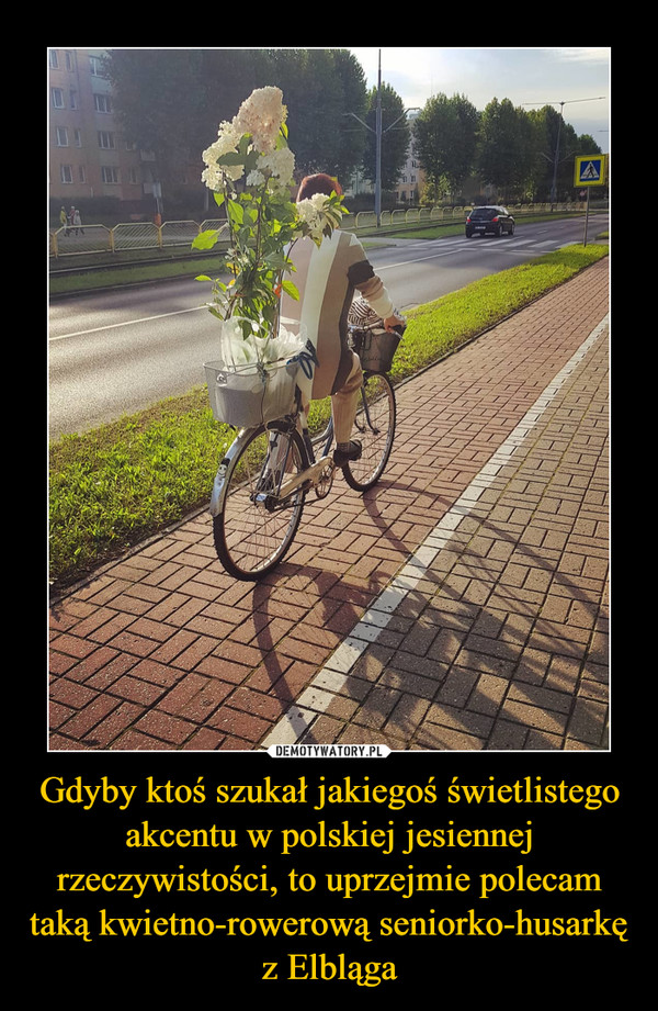 Gdyby ktoś szukał jakiegoś świetlistego akcentu w polskiej jesiennej rzeczywistości, to uprzejmie polecam taką kwietno-rowerową seniorko-husarkę z Elbląga –  