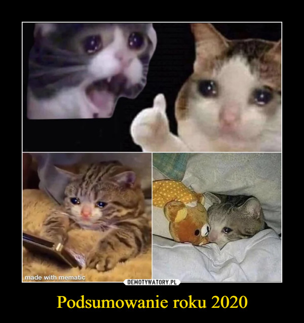 Podsumowanie roku 2020 –  