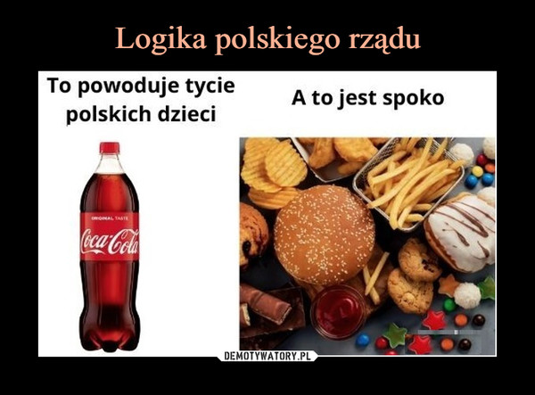 Logika polskiego rządu