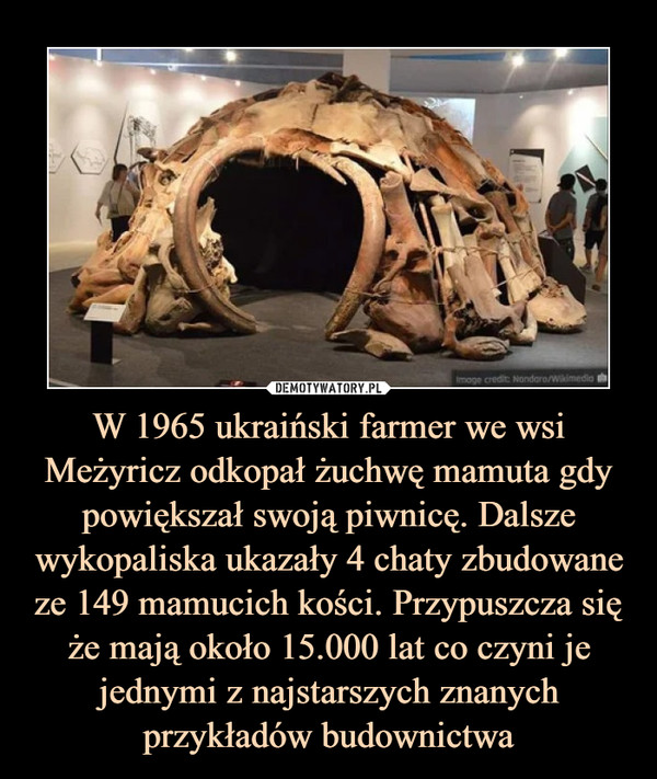 W 1965 ukraiński farmer we wsi Meżyricz odkopał żuchwę mamuta gdy powiększał swoją piwnicę. Dalsze wykopaliska ukazały 4 chaty zbudowane ze 149 mamucich kości. Przypuszcza się że mają około 15.000 lat co czyni je jednymi z najstarszych znanych przykładów budownictwa –  
