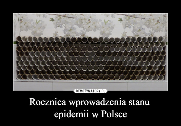 Rocznica wprowadzenia stanu epidemii w Polsce –  