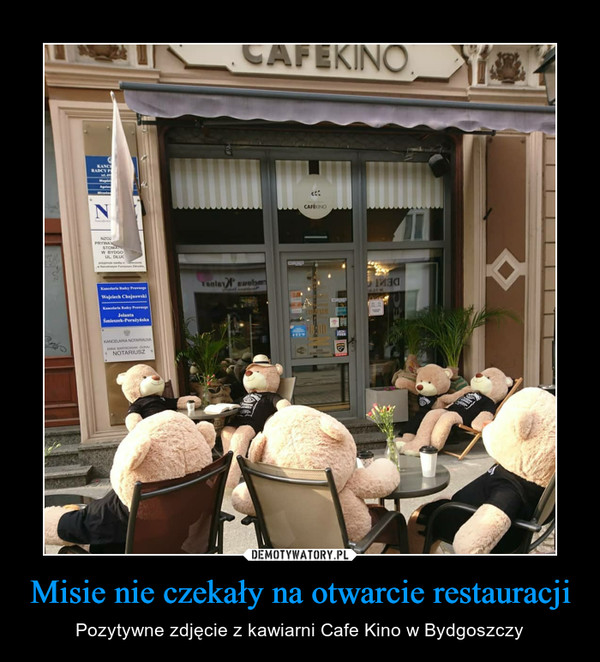 Misie nie czekały na otwarcie restauracji – Pozytywne zdjęcie z kawiarni Cafe Kino w Bydgoszczy 