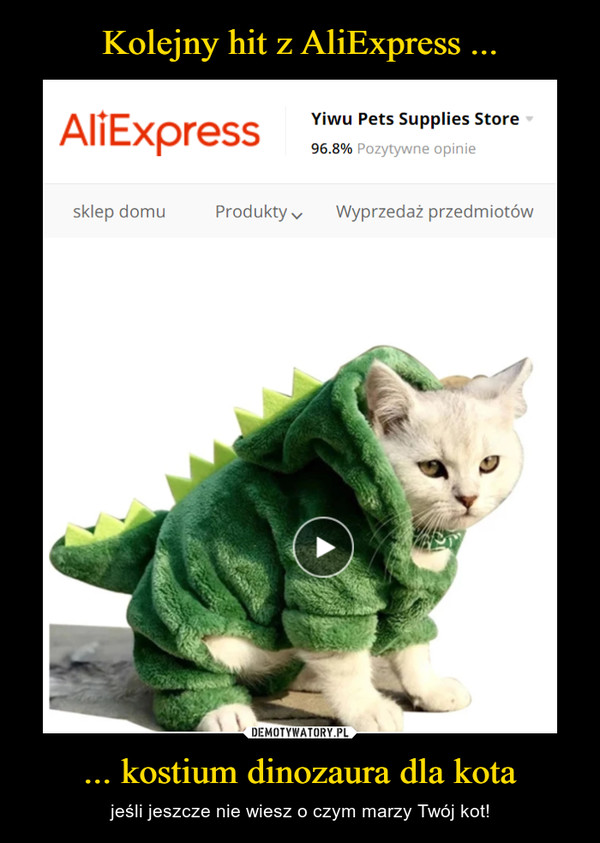 Kolejny hit z AliExpress ... ... kostium dinozaura dla kota