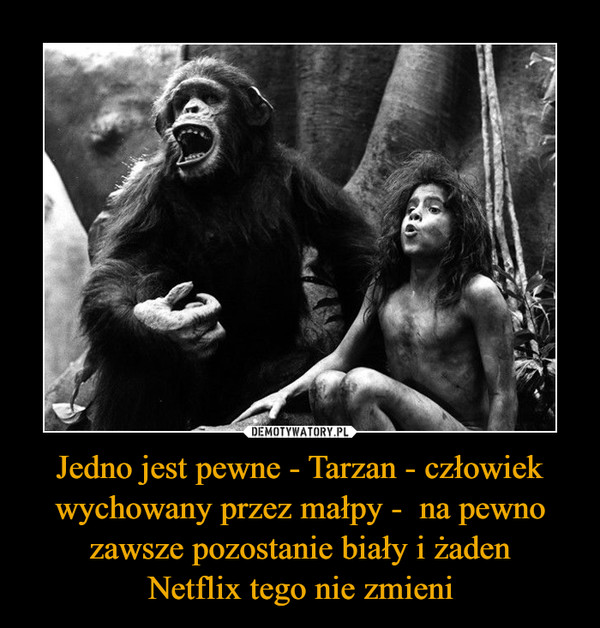 Jedno jest pewne - Tarzan - człowiek wychowany przez małpy -  na pewno zawsze pozostanie biały i żadenNetflix tego nie zmieni –  