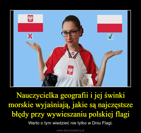Nauczycielka geografii i jej świnki morskie wyjaśniają, jakie są najczęstsze błędy przy wywieszaniu polskiej flagi – Warto o tym wiedzieć nie tylko w Dniu Flagi. 