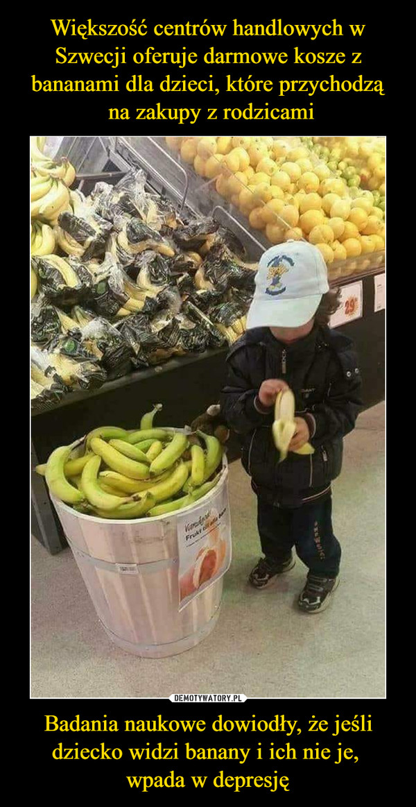 Większość centrów handlowych w Szwecji oferuje darmowe kosze z bananami dla dzieci, które przychodzą
 na zakupy z rodzicami Badania naukowe dowiodły, że jeśli dziecko widzi banany i ich nie je, 
wpada w depresję