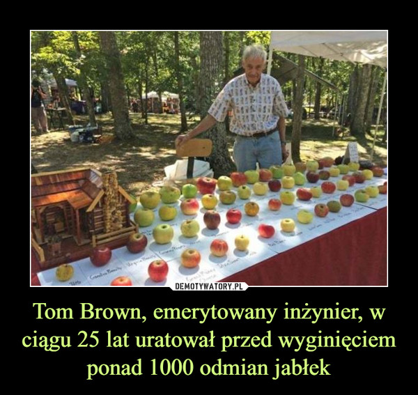 Tom Brown, emerytowany inżynier, w ciągu 25 lat uratował przed wyginięciem ponad 1000 odmian jabłek –  