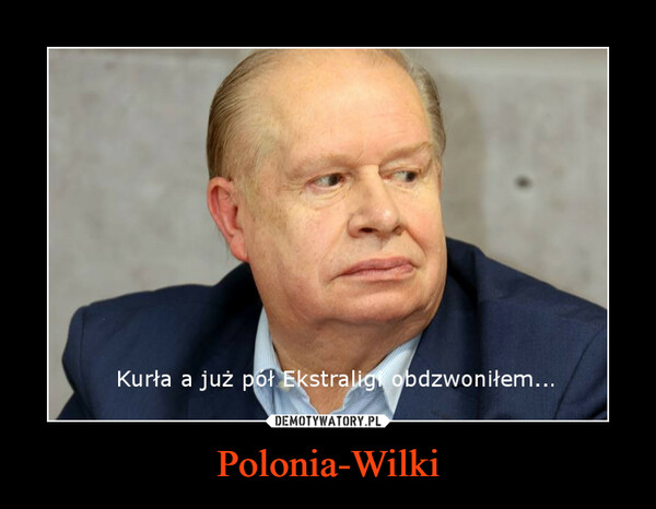 Polonia-Wilki