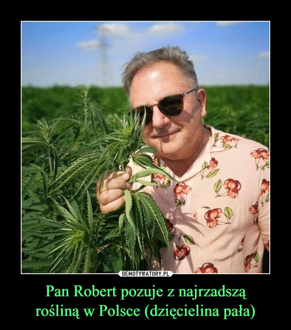 Pan Robert pozuje z najrzadszą
rośliną w Polsce (dzięcielina pała)