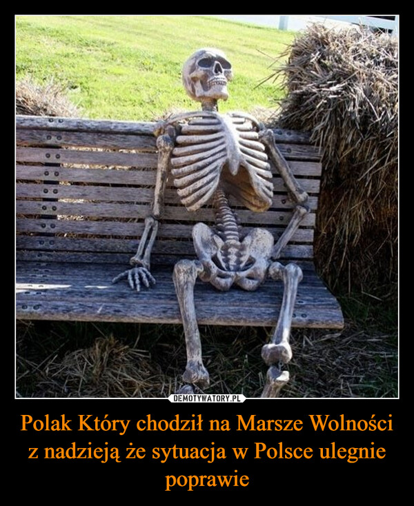 Polak Który chodził na Marsze Wolności z nadzieją że sytuacja w Polsce ulegnie poprawie –  