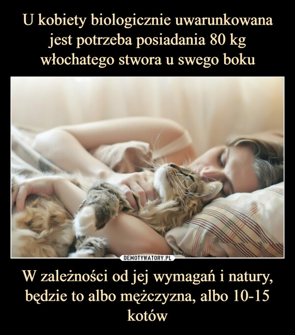 U kobiety biologicznie uwarunkowana jest potrzeba posiadania 80 kg włochatego stwora u swego boku W zależności od jej wymagań i natury, będzie to albo mężczyzna, albo 10-15 kotów
