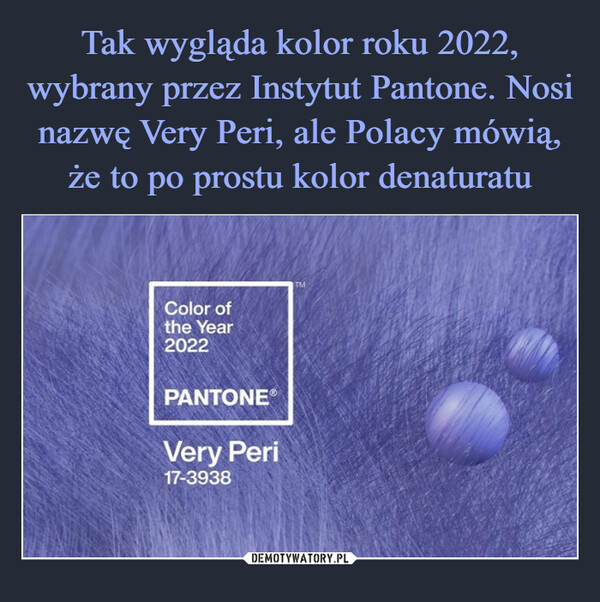 Tak wygląda kolor roku 2022, wybrany przez Instytut Pantone. Nosi nazwę Very Peri, ale Polacy mówią, że to po prostu kolor denaturatu