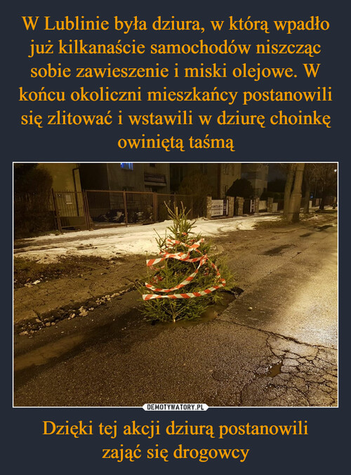 W Lublinie była dziura, w którą wpadło już kilkanaście samochodów niszcząc sobie zawieszenie i miski olejowe. W końcu okoliczni mieszkańcy postanowili się zlitować i wstawili w dziurę choinkę owiniętą taśmą Dzięki tej akcji dziurą postanowili
zająć się drogowcy