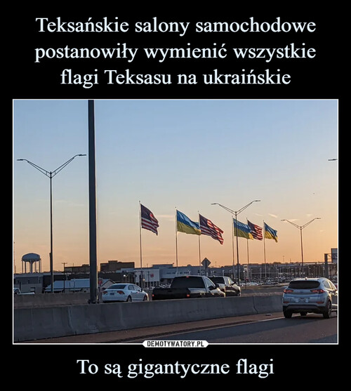 Teksańskie salony samochodowe postanowiły wymienić wszystkie flagi Teksasu na ukraińskie To są gigantyczne flagi