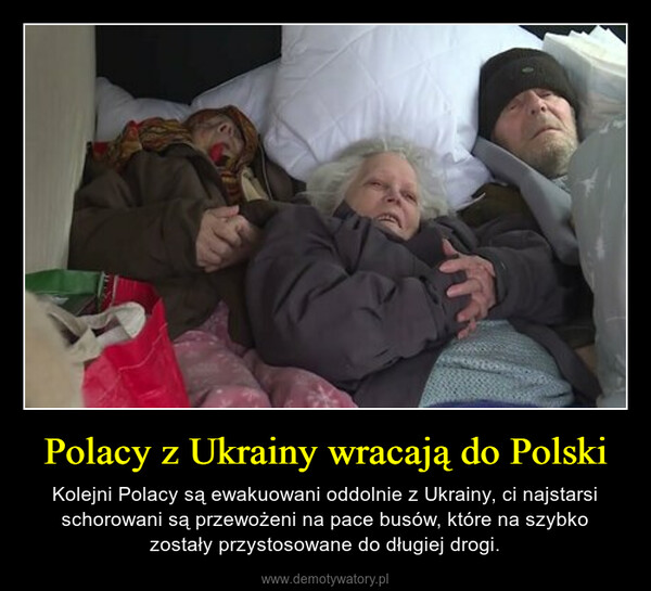 Polacy z Ukrainy wracają do Polski – Kolejni Polacy są ewakuowani oddolnie z Ukrainy, ci najstarsi schorowani są przewożeni na pace busów, które na szybko zostały przystosowane do długiej drogi. 