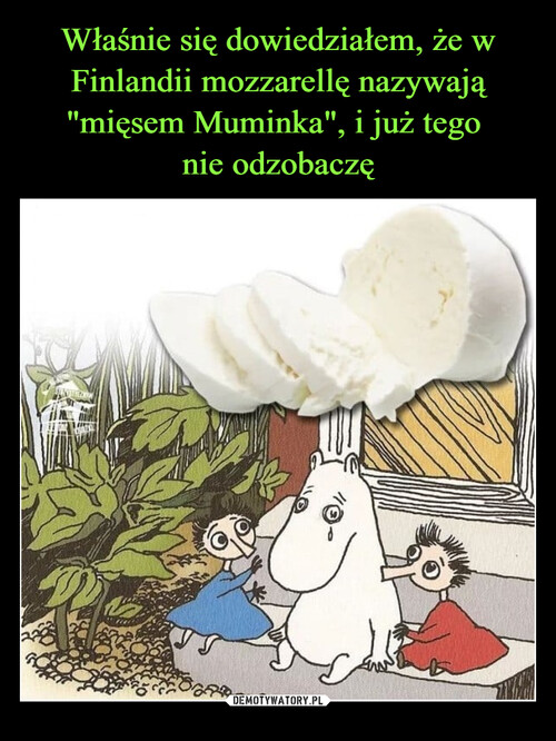 Właśnie się dowiedziałem, że w Finlandii mozzarellę nazywają "mięsem Muminka", i już tego 
nie odzobaczę