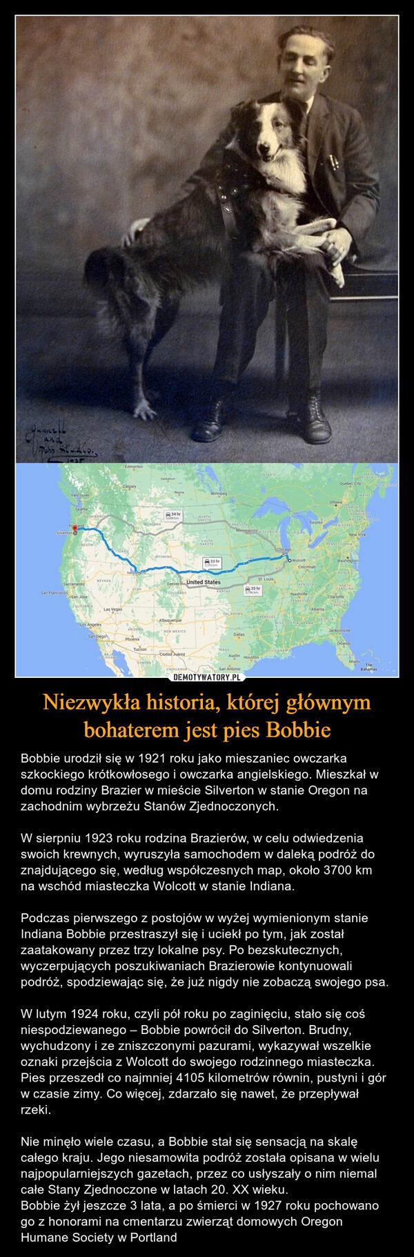 Niezwykła historia, której głównym bohaterem jest pies Bobbie – Bobbie urodził się w 1921 roku jako mieszaniec owczarka szkockiego krótkowłosego i owczarka angielskiego. Mieszkał w domu rodziny Brazier w mieście Silverton w stanie Oregon na zachodnim wybrzeżu Stanów Zjednoczonych.W sierpniu 1923 roku rodzina Brazierów, w celu odwiedzenia swoich krewnych, wyruszyła samochodem w daleką podróż do znajdującego się, według współczesnych map, około 3700 km na wschód miasteczka Wolcott w stanie Indiana.Podczas pierwszego z postojów w wyżej wymienionym stanie Indiana Bobbie przestraszył się i uciekł po tym, jak został zaatakowany przez trzy lokalne psy. Po bezskutecznych, wyczerpujących poszukiwaniach Brazierowie kontynuowali podróż, spodziewając się, że już nigdy nie zobaczą swojego psa.W lutym 1924 roku, czyli pół roku po zaginięciu, stało się coś niespodziewanego – Bobbie powrócił do Silverton. Brudny, wychudzony i ze zniszczonymi pazurami, wykazywał wszelkie oznaki przejścia z Wolcott do swojego rodzinnego miasteczka. Pies przeszedł co najmniej 4105 kilometrów równin, pustyni i gór w czasie zimy. Co więcej, zdarzało się nawet, że przepływał rzeki. Nie minęło wiele czasu, a Bobbie stał się sensacją na skalę całego kraju. Jego niesamowita podróż została opisana w wielu najpopularniejszych gazetach, przez co usłyszały o nim niemal całe Stany Zjednoczone w latach 20. XX wieku. Bobbie żył jeszcze 3 lata, a po śmierci w 1927 roku pochowano go z honorami na cmentarzu zwierząt domowych Oregon Humane Society w Portland 