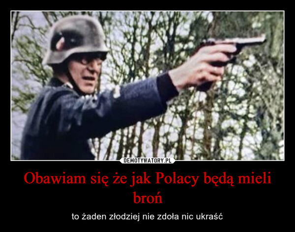 Obawiam się że jak Polacy będą mieli broń – to żaden złodziej nie zdoła nic ukraść 