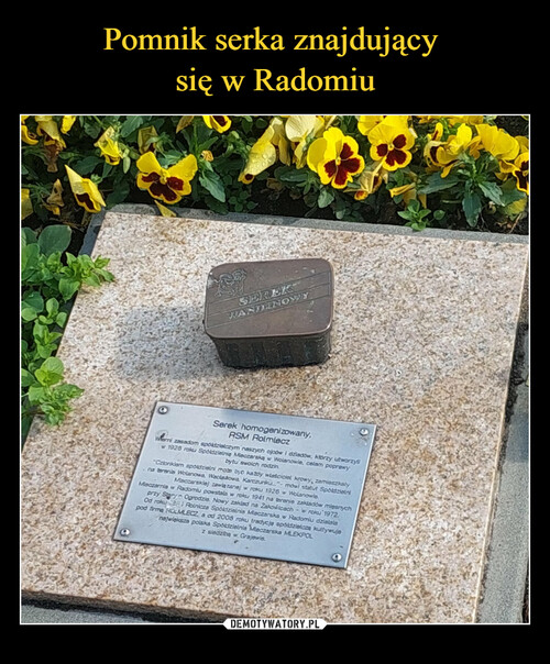 Pomnik serka znajdujący 
się w Radomiu