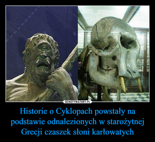 Historie o Cyklopach powstały na podstawie odnalezionych w starożytnej Grecji czaszek słoni karłowatych