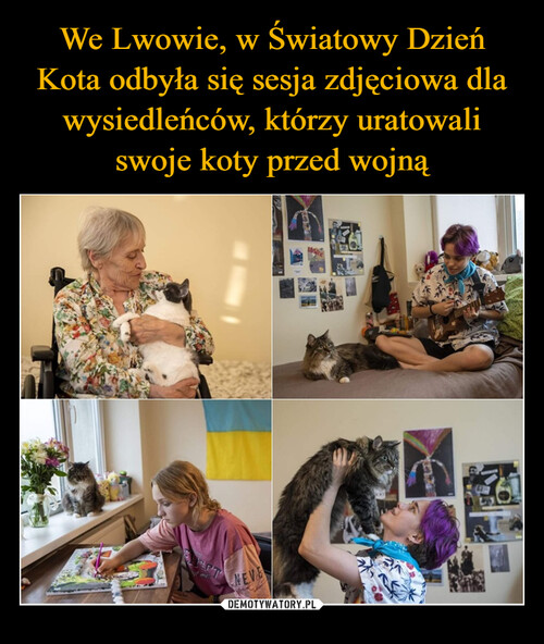 We Lwowie, w Światowy Dzień Kota odbyła się sesja zdjęciowa dla wysiedleńców, którzy uratowali swoje koty przed wojną