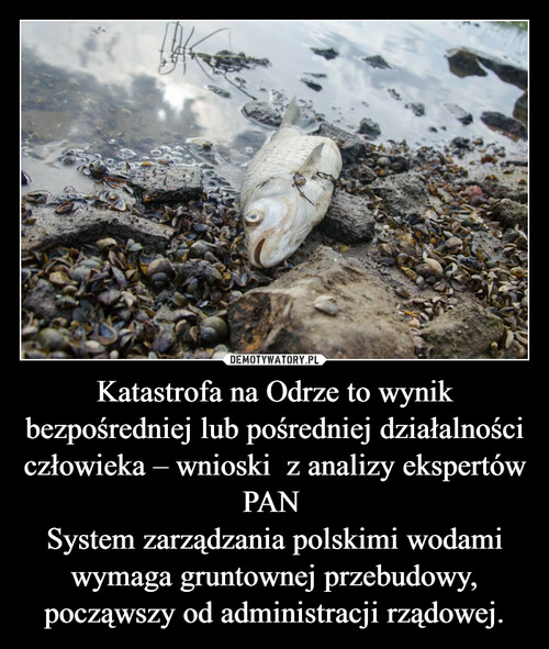 Katastrofa na Odrze to wynik bezpośredniej lub pośredniej działalności człowieka – wnioski  z analizy ekspertów PAN 
System zarządzania polskimi wodami wymaga gruntownej przebudowy, począwszy od administracji rządowej.