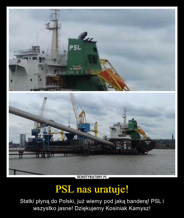 PSL nas uratuje! – Statki płyną do Polski, już wiemy pod jaką banderą! PSL i wszystko jasne! Dziękujemy Kosiniak Kamysz! 
