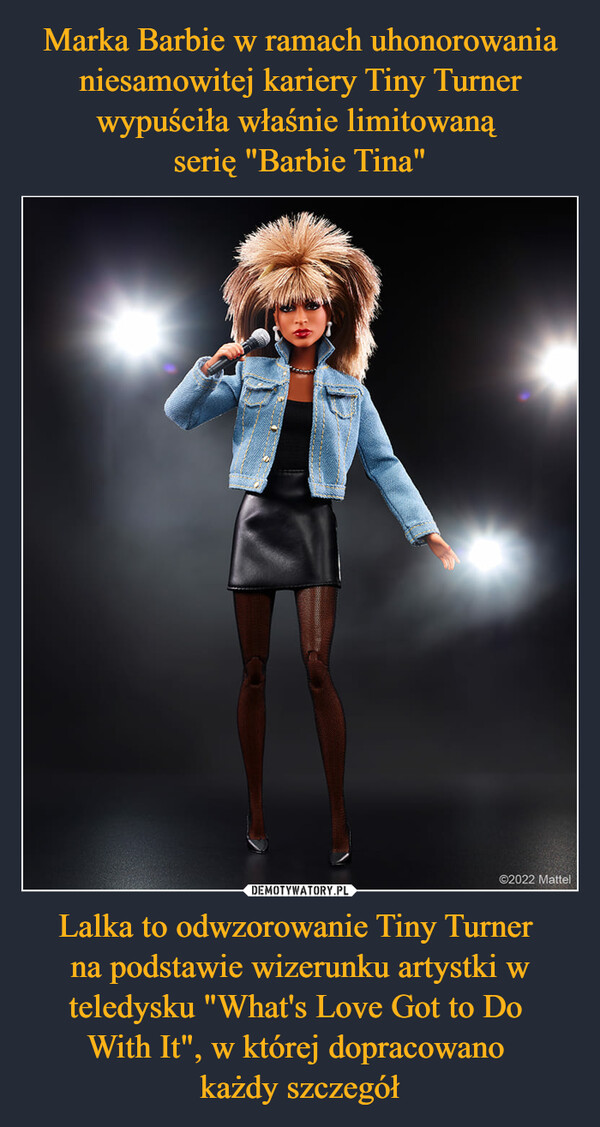 Marka Barbie w ramach uhonorowania niesamowitej kariery Tiny Turner wypuściła właśnie limitowaną 
serię "Barbie Tina" Lalka to odwzorowanie Tiny Turner 
na podstawie wizerunku artystki w teledysku "What's Love Got to Do 
With It", w której dopracowano 
każdy szczegół