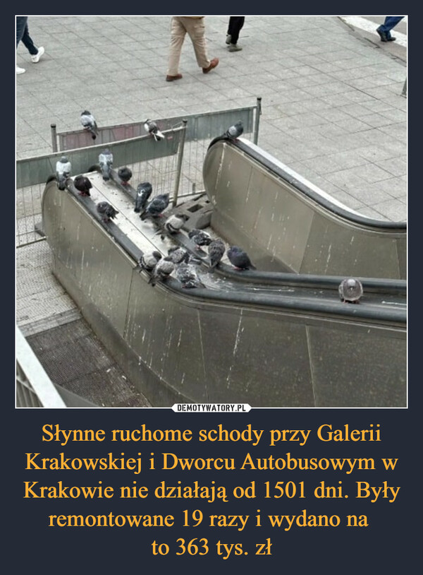 Słynne ruchome schody przy Galerii Krakowskiej i Dworcu Autobusowym w Krakowie nie działają od 1501 dni. Były remontowane 19 razy i wydano na 
to 363 tys. zł