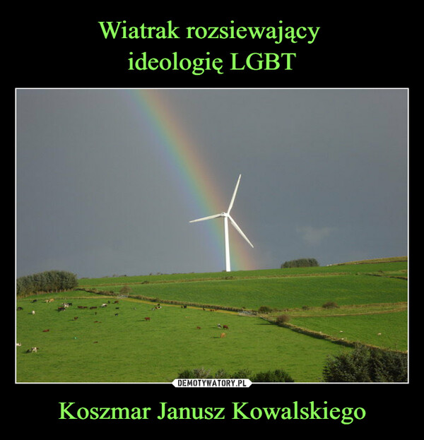 Koszmar Janusz Kowalskiego –  