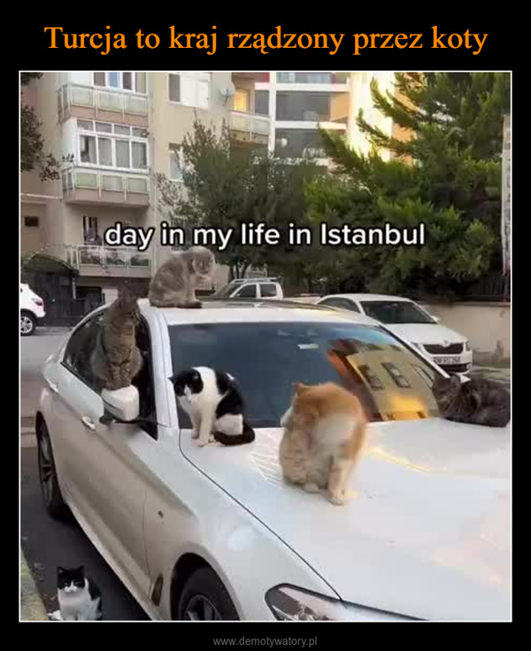  –  day in my life in Istanbul