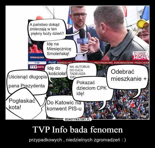 TVP Info bada fenomen