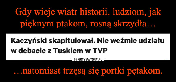 …natomiast trzęsą się portki pętakom. –  Kaczyński skapitulował. Nie weźmie udziałuw debacie z Tuskiem w TVP