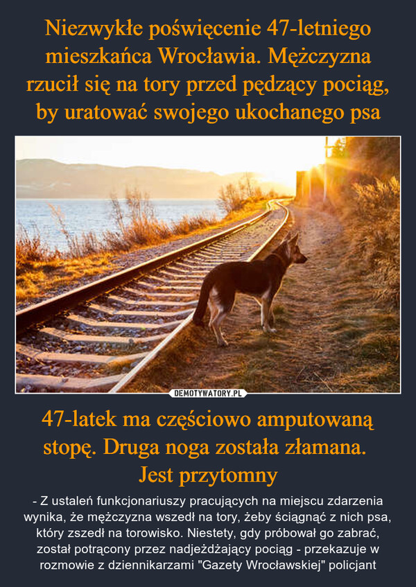 Niezwykłe poświęcenie 47-letniego mieszkańca Wrocławia. Mężczyzna rzucił się na tory przed pędzący pociąg, by uratować swojego ukochanego psa 47-latek ma częściowo amputowaną stopę. Druga noga została złamana. 
Jest przytomny
