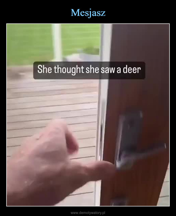  –  She thought she saw a deer
