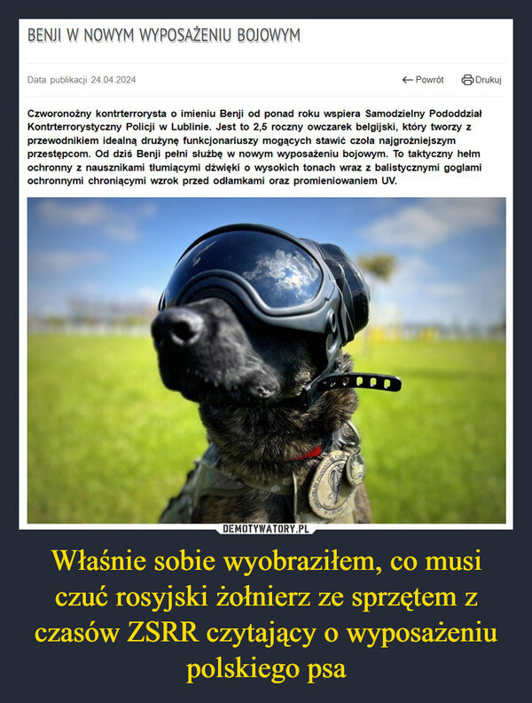 Właśnie sobie wyobraziłem, co musi czuć rosyjski żołnierz ze sprzętem z czasów ZSRR czytający o wyposażeniu polskiego psa –  BENJI W NOWYM WYPOSAŻENIU BOJOWYMData publikacji 24.04.2024← PowrótDrukujCzworonożny kontrterrorysta o imieniu Benji od ponad roku wspiera Samodzielny PododdziałKontrterrorystyczny Policji w Lublinie. Jest to 2,5 roczny owczarek belgijski, który tworzy zprzewodnikiem idealną drużynę funkcjonariuszy mogących stawić czoła najgroźniejszymprzestępcom. Od dziś Benji pełni służbę w nowym wyposażeniu bojowym. To taktyczny helmochronny z nausznikami tłumiącymi dźwięki o wysokich tonach wraz z balistycznymi goglamiochronnymi chroniącymi wzrok przed odłamkami oraz promieniowaniem UV.PP