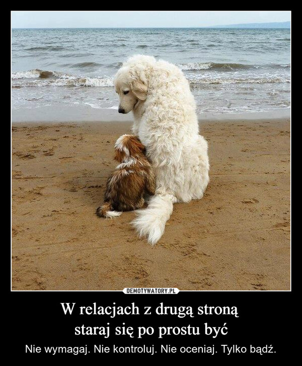 W relacjach z drugą stroną staraj się po prostu być – Nie wymagaj. Nie kontroluj. Nie oceniaj. Tylko bądź. 